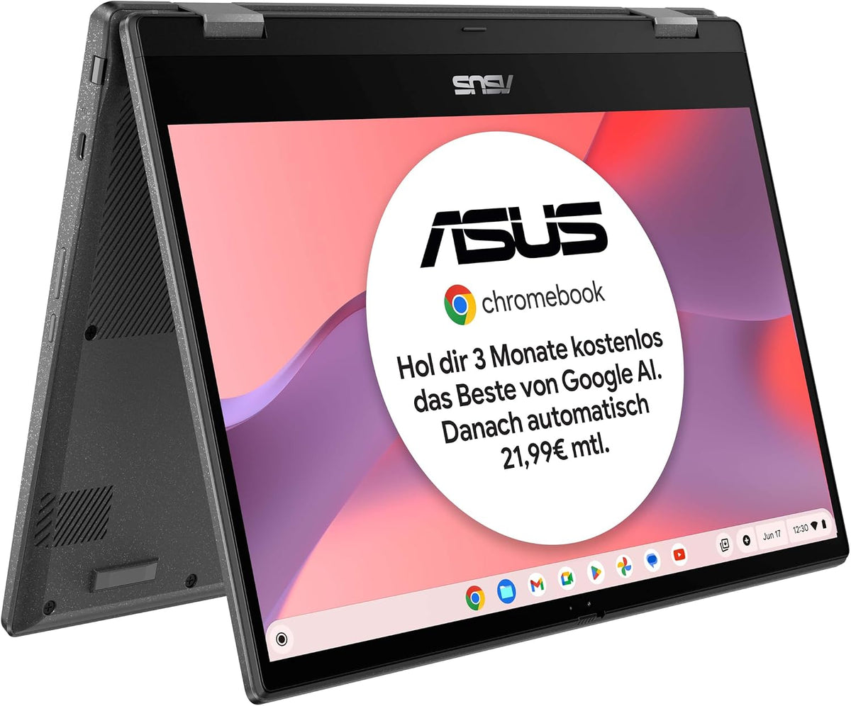 ASUS Normale Laptops, Chromebook Flip CM1 Laptop